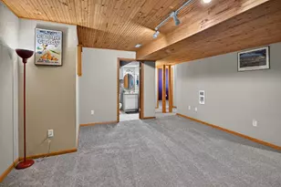 311 Springview Dr, Marshall, WI 53559 - Photo 33