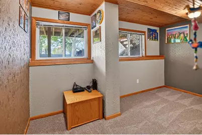 311 Springview Drive, Marshall, WI 53559 - Photo 37