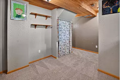311 Springview Drive, Marshall, WI 53559 - Photo 39