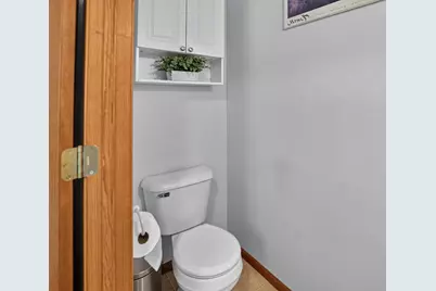 311 Springview Drive, Marshall, WI 53559 - Photo 19