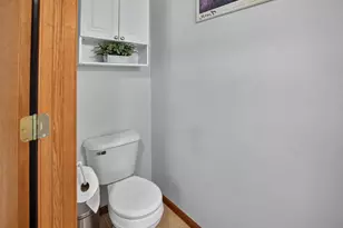 311 Springview Dr, Marshall, WI 53559 - Photo 19