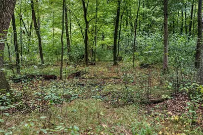 121 Acres County Hwy Et, Tomah, WI 54660 - Photo 77