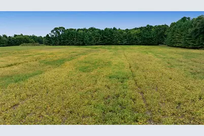 121 Acres County Hwy Et, Tomah, WI 54660 - Photo 47