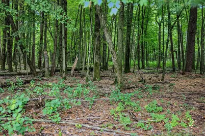 121 Acres County Hwy Et, Tomah, WI 54660 - Photo 59
