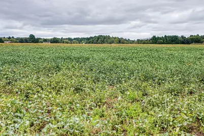 121 Acres County Hwy Et, Tomah, WI 54660 - Photo 55
