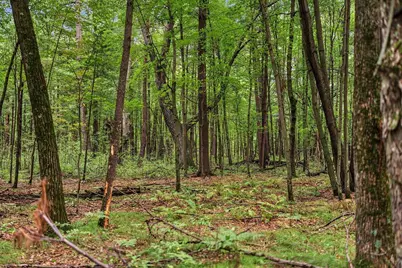 121 Acres County Hwy Et, Tomah, WI 54660 - Photo 65