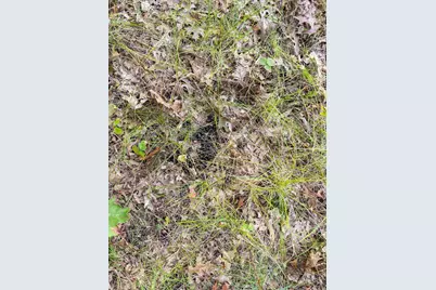 Lot 1 W 19th Street, Necedah, WI 54646 - Photo 69