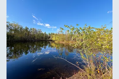 Lot 1 W 19th Street, Necedah, WI 54646 - Photo 57
