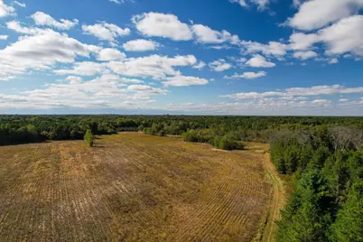 Lot 1 W 19th Street, Necedah, WI 54646 - Photo 39