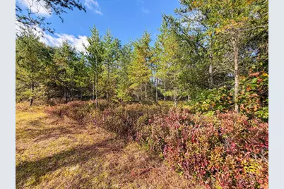 Lot 2 W 19th Street, Necedah, WI 54646 - Photo 39