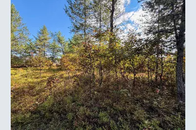 Lot 2 W 19th Street, Necedah, WI 54646 - Photo 37