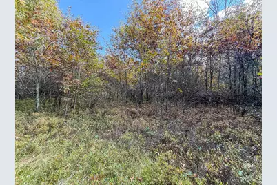 Lot 2 W 19th Street, Necedah, WI 54646 - Photo 49