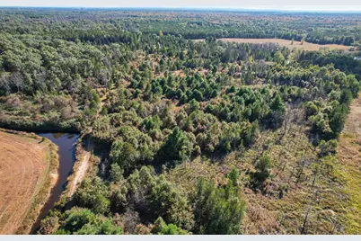 Lot 3 W 19th Street, Necedah, WI 54646 - Photo 13