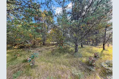 Lot 3 W 19th Street, Necedah, WI 54646 - Photo 21