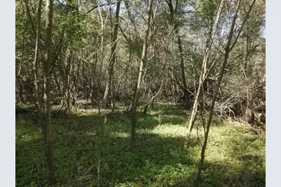 W5995 8th Lane, Montello, WI 53949 - Photo 3