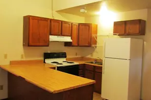 421 W Doty St, Madison, WI 53703 - Photo 15