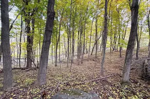 19120 Whiteaker Cemetery Ln, Gays Mills, WI 54631 - Photo 51