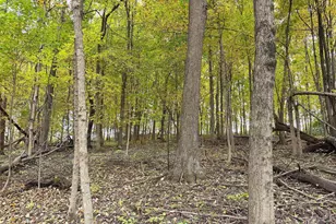 19120 Whiteaker Cemetery Ln, Gays Mills, WI 54631 - Photo 53