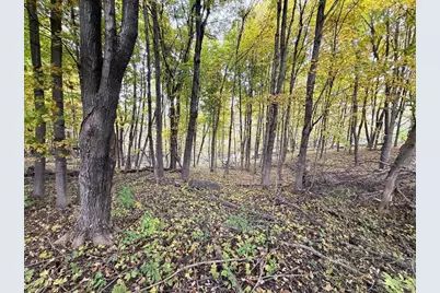 19120 Whiteaker Cemetery Lane, Gays Mills, WI 54631 - Photo 45