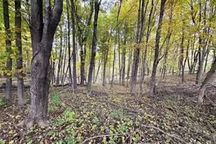 19120 Whiteaker Cemetery Ln, Gays Mills, WI 54631 - Photo 45