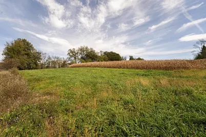 34.06 Acres Highway 131, Wilton, WI 54670 - Photo 5