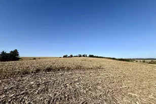 W8940 County Road B, Browntown, WI 53522 - Photo 21