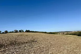 W8940 County Road B, Browntown, WI 53522 - Photo 19