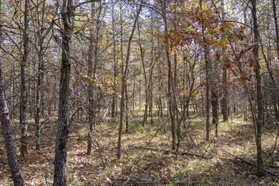 Lot 31 Morros Mile Road, Necedah, WI 54646 - Photo 5