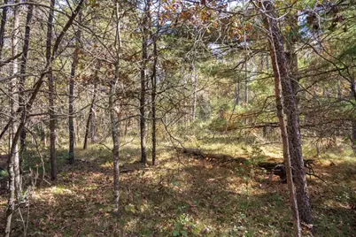 Lot 31 Morros Mile Road, Necedah, WI 54646 - Photo 15