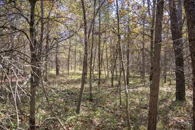 Lot 31 Morros Mile Road, Necedah, WI 54646 - Photo 9