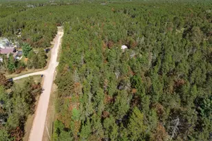 Lot 31 Morros Mile Rd, Necedah, WI 54646 - Photo 1