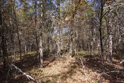 Lot 31 Morros Mile Road, Necedah, WI 54646 - Photo 29