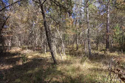 Lot 31 Morros Mile Road, Necedah, WI 54646 - Photo 23
