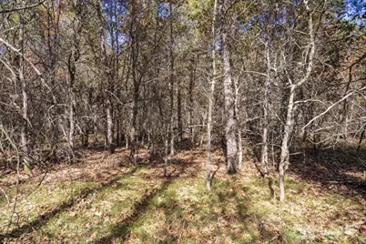 Lot 31 Morros Mile Road, Necedah, WI 54646 - Photo 31
