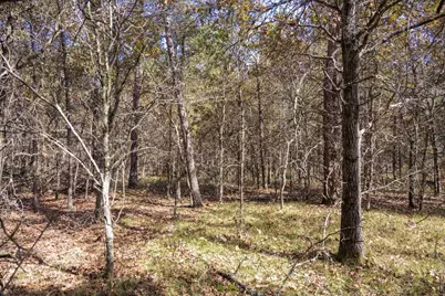 Lot 31 Morros Mile Road, Necedah, WI 54646 - Photo 3
