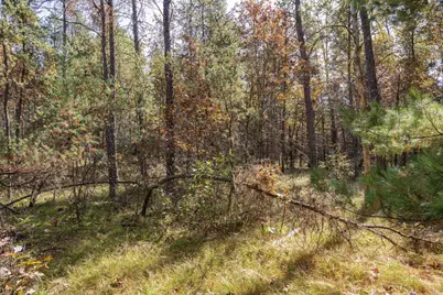 Lot 31 Morros Mile Road, Necedah, WI 54646 - Photo 27