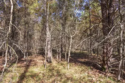 Lot 31 Morros Mile Road, Necedah, WI 54646 - Photo 11