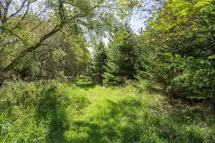 W4351 Anglim Rd, Lyndon Station, WI 53944 - Photo 23