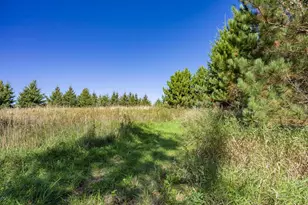 W4351 Anglim Rd, Lyndon Station, WI 53944 - Photo 19