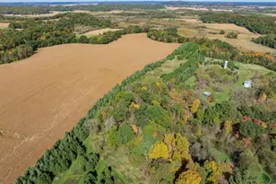 W4351 Anglim Rd, Lyndon Station, WI 53944 - Photo 33