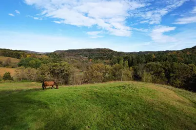 8.7+/- Acres County Road F, Ontario, WI 54651 - Photo 3