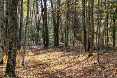 85+/- Acres 22nd Street, Necedah, WI 54646 - Photo 65