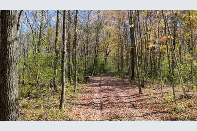 85+/- Acres 22nd Street, Necedah, WI 54646 - Photo 13
