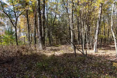 85+/- Acres 22nd Street, Necedah, WI 54646 - Photo 37