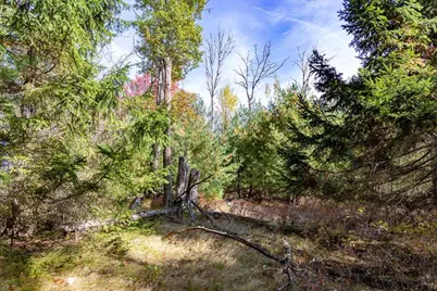 85+/- Acres 22nd Street, Necedah, WI 54646 - Photo 67