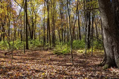 85+/- Acres 22nd Street, Necedah, WI 54646 - Photo 25