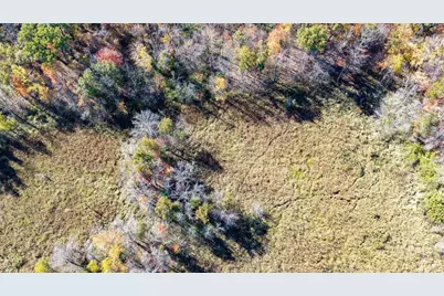 85+/- Acres 22nd Street, Necedah, WI 54646 - Photo 21