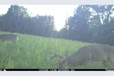 000 11th Ave, Adams, WI 53910 - Photo 67