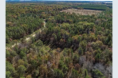 Lot 16 Morros Mile Road, Necedah, WI 54646 - Photo 5