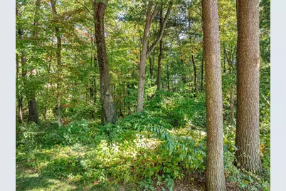 199 Cliffside Drive, Lake Delton, WI 53965 - Photo 3